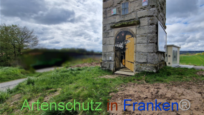 © Artenschutz in Franken® Bild zum Eintrag (1103353-160)