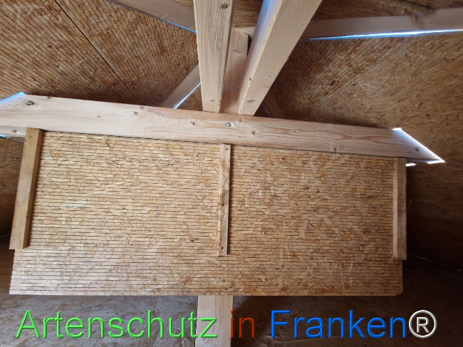 © Artenschutz in Franken® Bild zum Eintrag (1103460-160)
