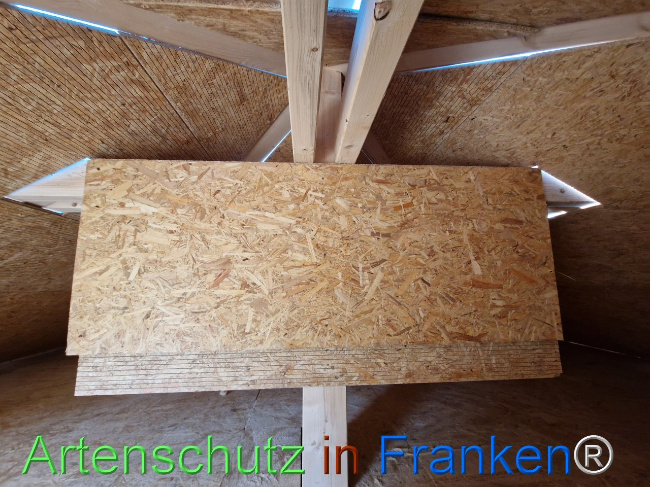 © Artenschutz in Franken® Bild zum Eintrag (1103467-160)