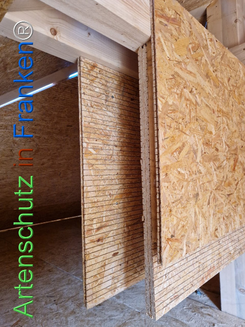 © Artenschutz in Franken® Bild zum Eintrag (1103469-160)