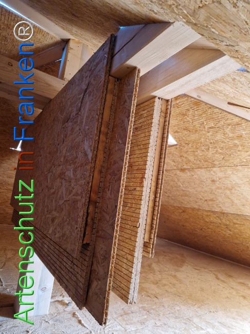 © Artenschutz in Franken® Bild zum Eintrag (1103471-160)