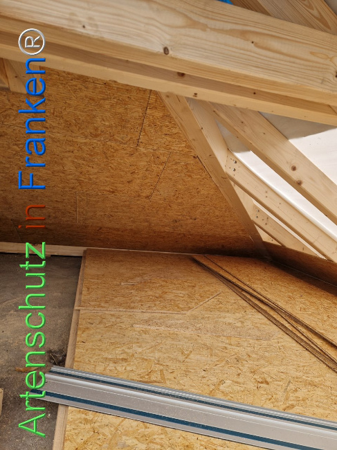 © Artenschutz in Franken® Bild zum Eintrag (1103473-160)