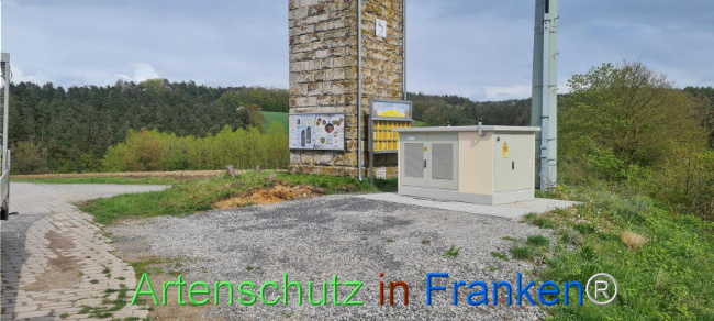 © Artenschutz in Franken® Bild zum Eintrag (1103487-160)