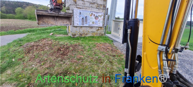 © Artenschutz in Franken® Bild zum Eintrag (1103493-160)