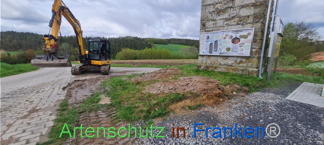 © Artenschutz in Franken® Bild zum Eintrag (1103496-160)