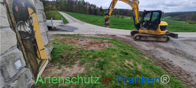 © Artenschutz in Franken® Bild zum Eintrag (1103497-160)