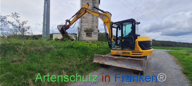 © Artenschutz in Franken® Bild zum Eintrag (1103500-160)