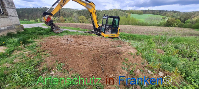 © Artenschutz in Franken® Bild zum Eintrag (1103505-160)