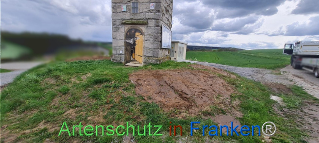 © Artenschutz in Franken® Bild zum Eintrag (1103508-160)