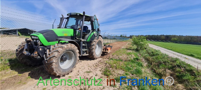 © Artenschutz in Franken® Bild zum Eintrag (1103528-160)
