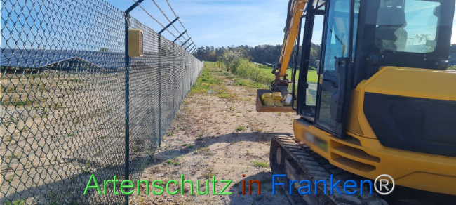 © Artenschutz in Franken® Bild zum Eintrag (1103532-160)