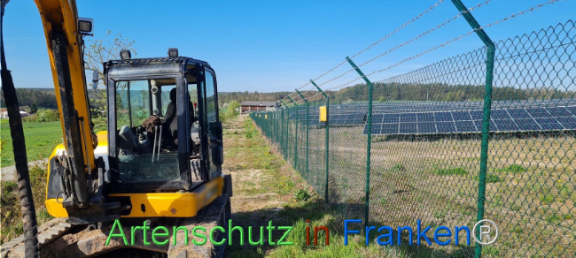 © Artenschutz in Franken® Bild zum Eintrag (1103535-160)