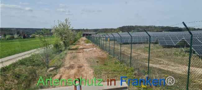 © Artenschutz in Franken® Bild zum Eintrag (1103536-160)