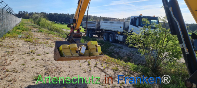 © Artenschutz in Franken® Bild zum Eintrag (1103537-160)