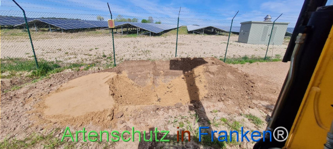 © Artenschutz in Franken® Bild zum Eintrag (1103539-160)
