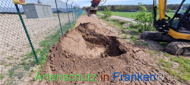 © Artenschutz in Franken® Bild zum Eintrag (1103540-160)