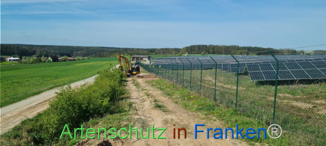 © Artenschutz in Franken® Bild zum Eintrag (1103543-160)