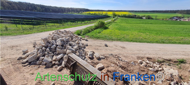 © Artenschutz in Franken® Bild zum Eintrag (1103544-160)