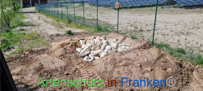 © Artenschutz in Franken® Bild zum Eintrag (1103545-160)