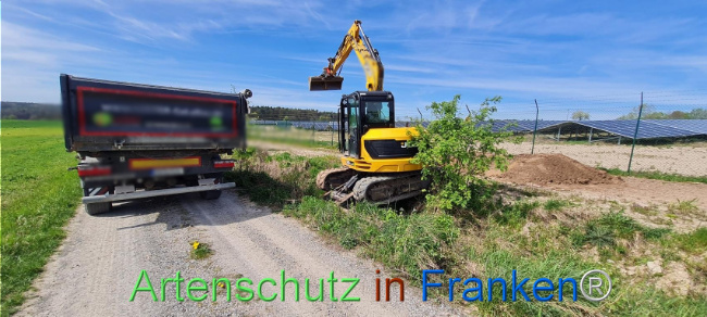 © Artenschutz in Franken® Bild zum Eintrag (1103547-160)