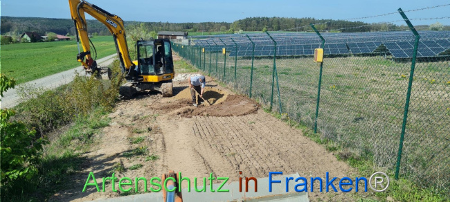 © Artenschutz in Franken® Bild zum Eintrag (1103548-160)