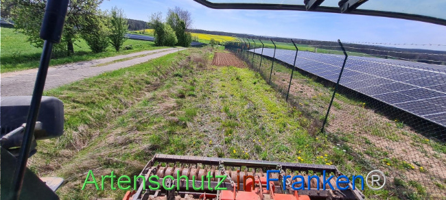 © Artenschutz in Franken® Bild zum Eintrag (1103549-160)