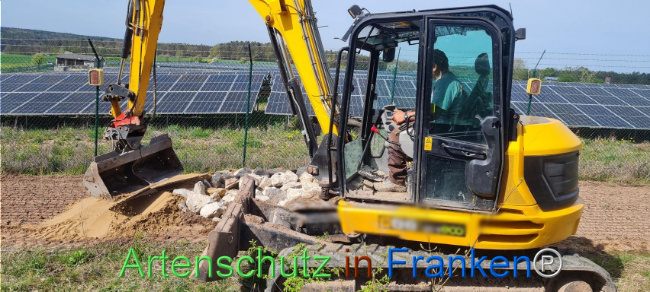 © Artenschutz in Franken® Bild zum Eintrag (1103552-160)