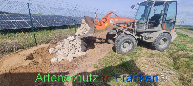 © Artenschutz in Franken® Bild zum Eintrag (1103560-160)