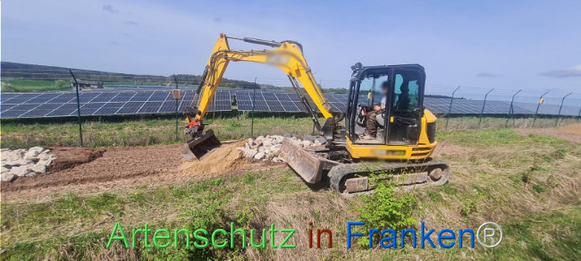 © Artenschutz in Franken® Bild zum Eintrag (1103561-160)