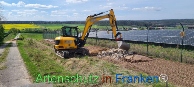 © Artenschutz in Franken® Bild zum Eintrag (1103563-160)