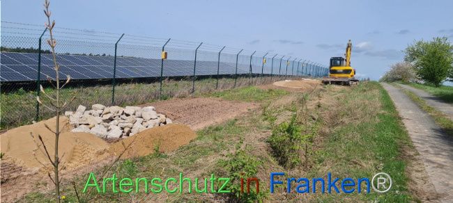 © Artenschutz in Franken® Bild zum Eintrag (1103564-160)