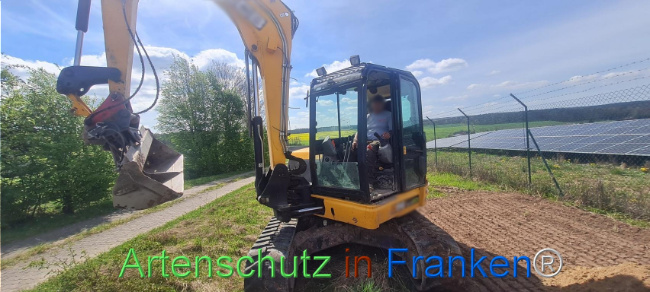 © Artenschutz in Franken® Bild zum Eintrag (1103565-160)