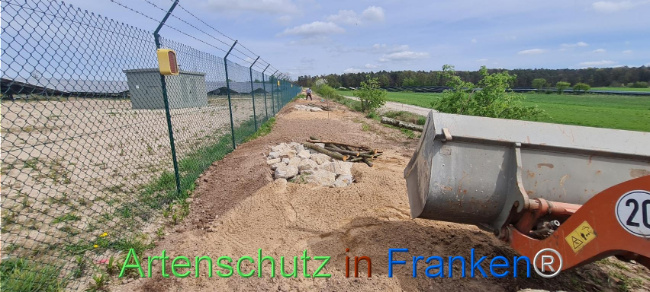 © Artenschutz in Franken® Bild zum Eintrag (1103567-160)