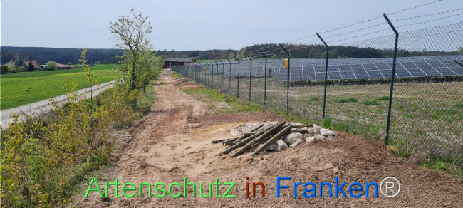 © Artenschutz in Franken® Bild zum Eintrag (1103568-160)
