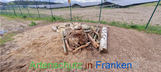 © Artenschutz in Franken® Bild zum Eintrag (1103571-160)