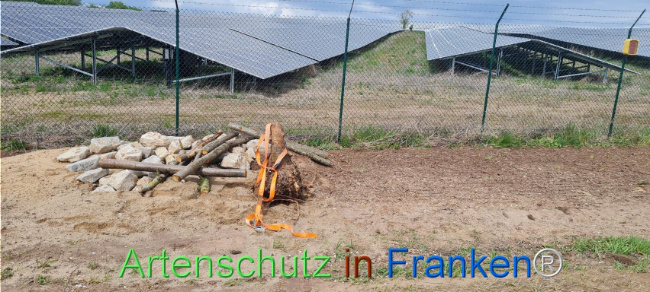 © Artenschutz in Franken® Bild zum Eintrag (1103583-160)