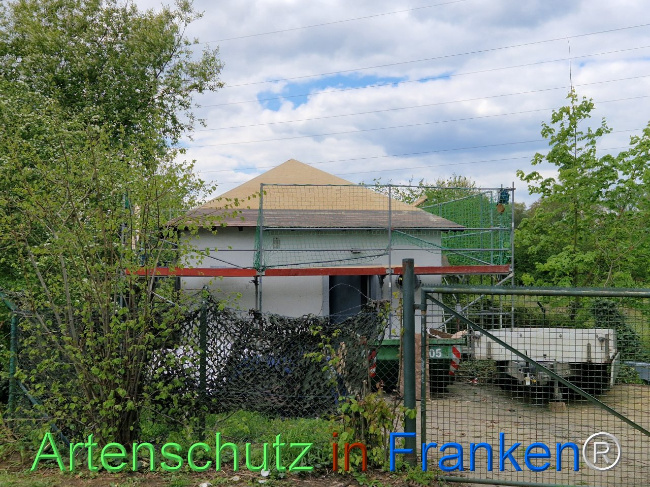 © Artenschutz in Franken® Bild zum Eintrag (1103593-160)