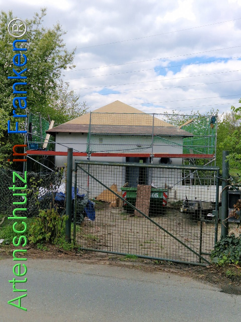 © Artenschutz in Franken® Bild zum Eintrag (1103596-160)