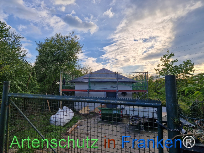 © Artenschutz in Franken® Bild zum Eintrag (1103597-160)