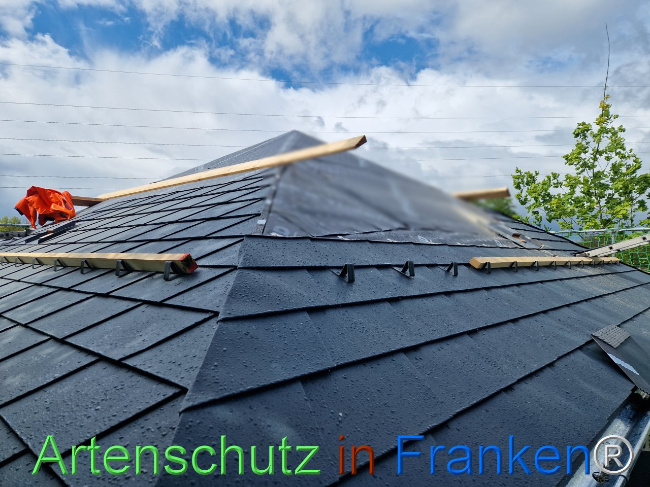 © Artenschutz in Franken® Bild zum Eintrag (1103677-160)