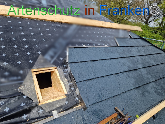© Artenschutz in Franken® Bild zum Eintrag (1103682-160)