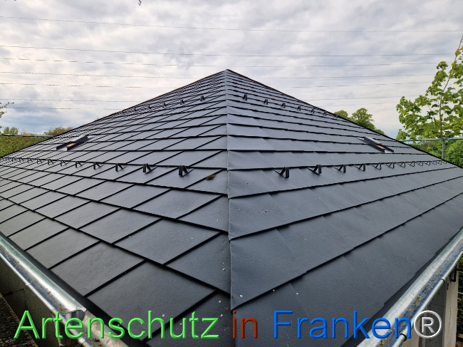 © Artenschutz in Franken® Bild zum Eintrag (1103693-160)