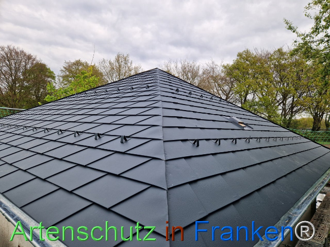 © Artenschutz in Franken® Bild zum Eintrag (1103697-160)
