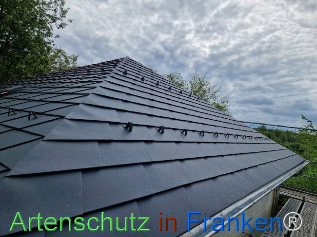 © Artenschutz in Franken® Bild zum Eintrag (1103698-160)
