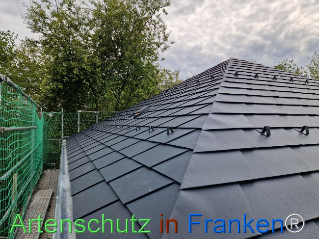 © Artenschutz in Franken® Bild zum Eintrag (1103699-160)