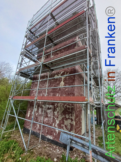 © Artenschutz in Franken® Bild zum Eintrag (1103770-160)