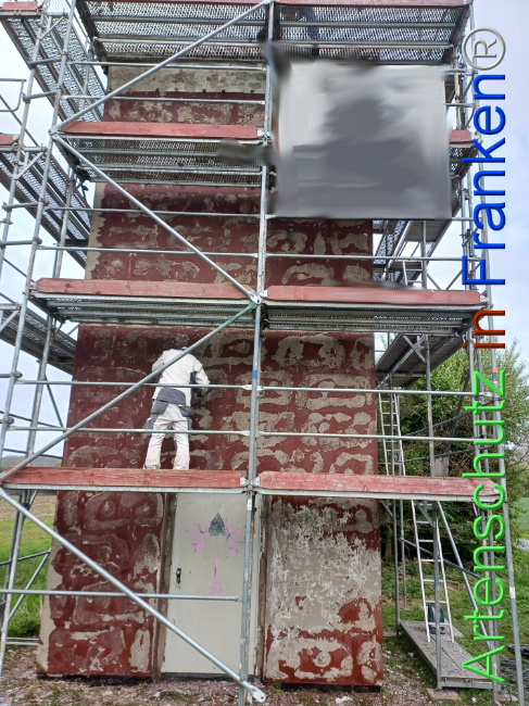 © Artenschutz in Franken® Bild zum Eintrag (1103772-160)