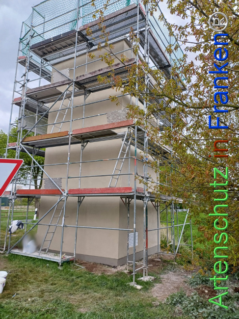 © Artenschutz in Franken® Bild zum Eintrag (1103786-160)