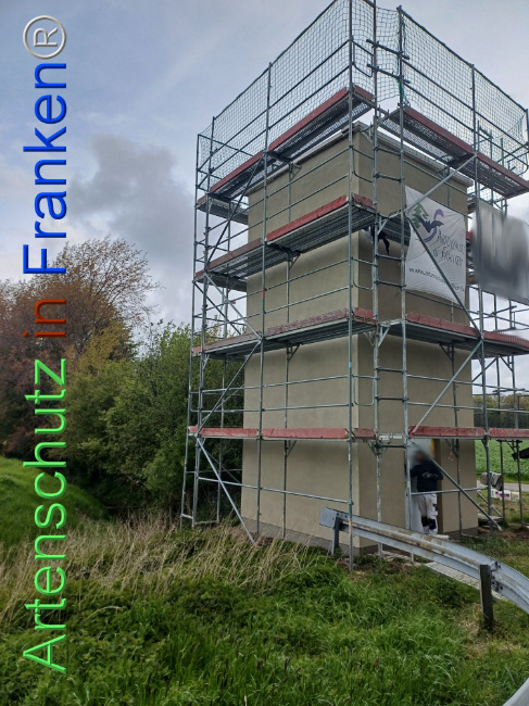 © Artenschutz in Franken® Bild zum Eintrag (1103787-160)