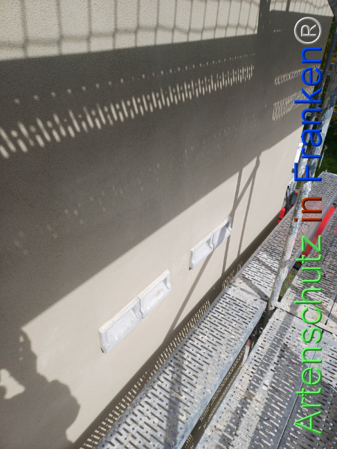© Artenschutz in Franken® Bild zum Eintrag (1103791-160)